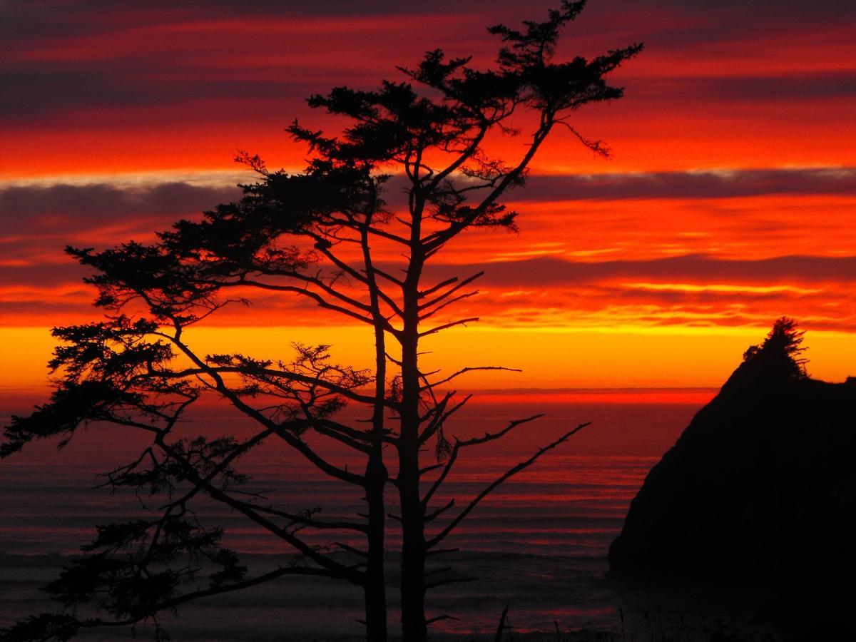 Agate Beach Motel Newport Kulesi Dış mekan fotoğraf